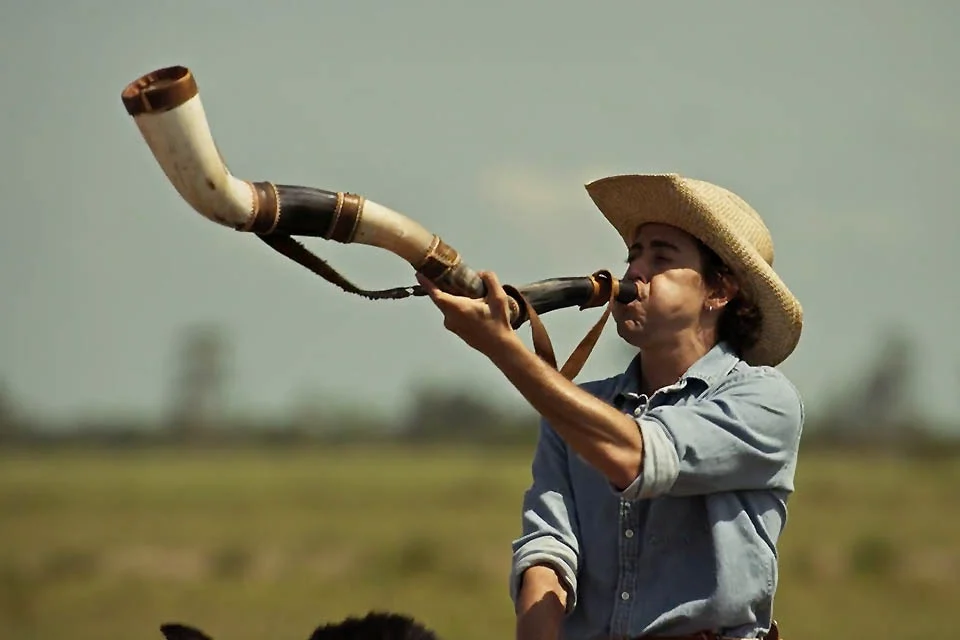 Pantanal saiba quando novela acaba e qual será a substituta na Globo