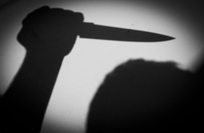 78065e_b7946d881ec64ddd8827759c729ee4ddmv2