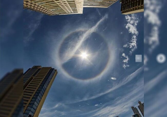 oscabecasdanoticia-halo-.jpg