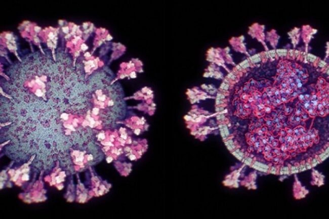 oscabecasdanoticia-1_sar.jpg