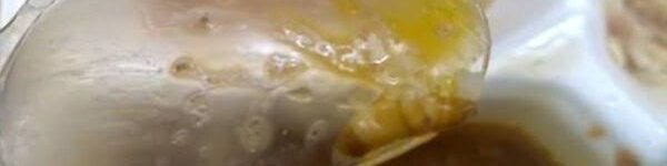 oscabecasdanoticia-image.jpg