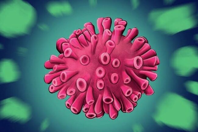 oscabecasdanoticia-image.jpg