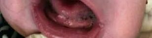oscabecasdanoticia-downl.jpg