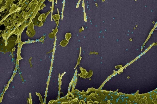 oscabecasdanoticia-1_cor.jpg