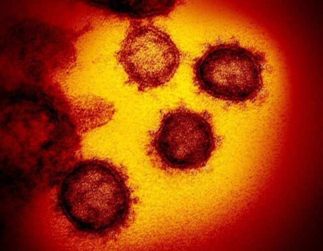 oscabecasdanoticia-cbifo.jpg