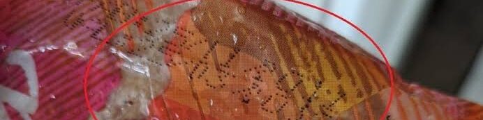 oscabecasdanoticia-image.jpg