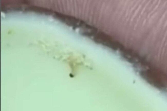 oscabecasdanoticia-1_kin.jpg