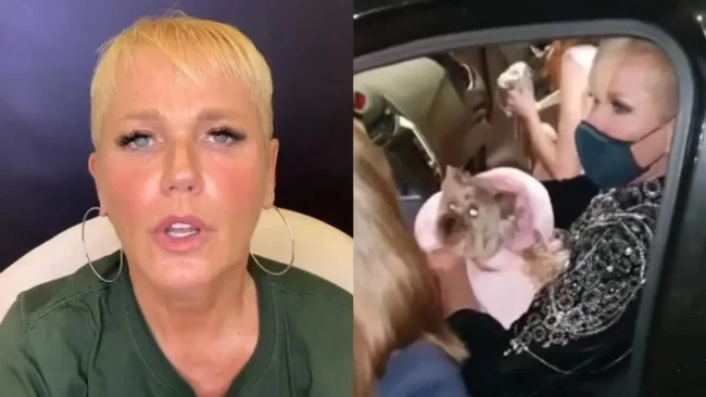 oscabecasdanoticia-xuxa-.webp