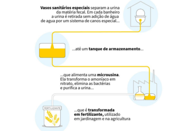 oscabecasdanoticia-1_des.png