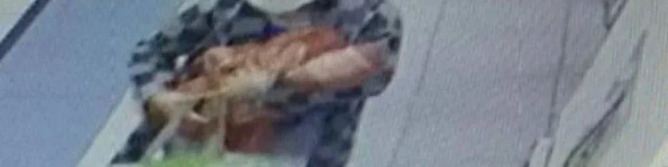 oscabecasdanoticia-bebe-.webp