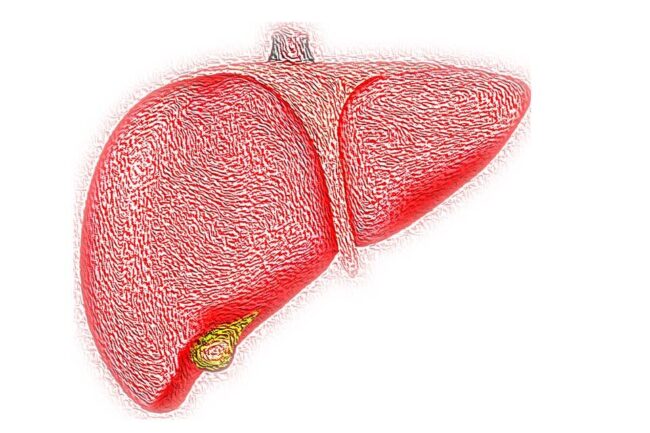 oscabecasdanoticia-liver.jpg