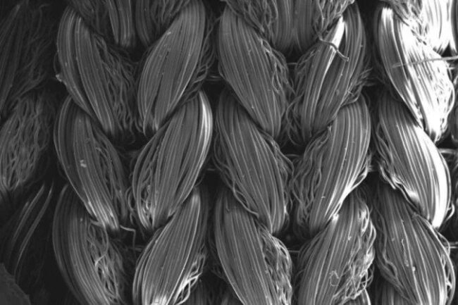 oscabecasdanoticia-1_mal.jpg