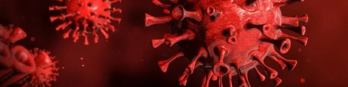 oscabecasdanoticia-foto-.webp