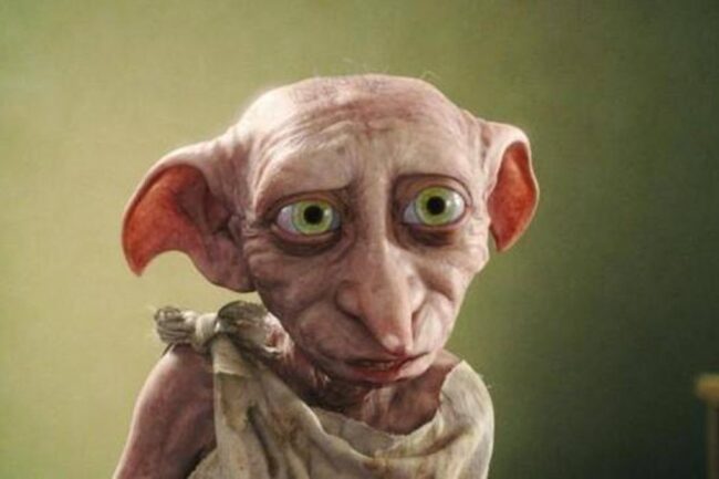 oscabecasdanoticia-dobby.jpg