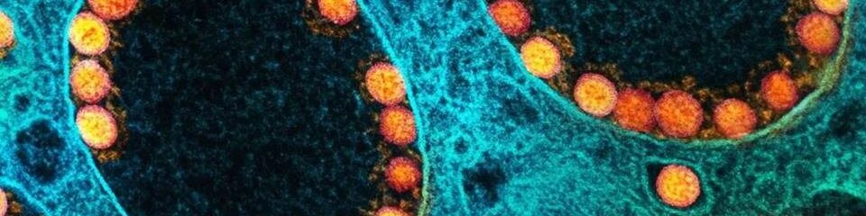 oscabecasdanoticia-bq.1-.jpg