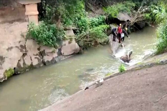 oscabecasdanoticia-corpo