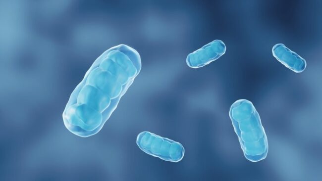 oscabecasdanoticia-mitoc.jpg