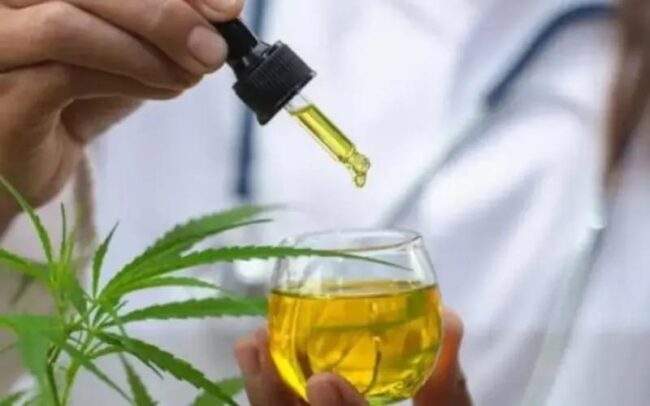 oscabecasdanoticia-canna.jpg