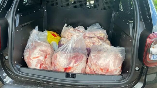 oscabecasdanoticia-carne.jpeg