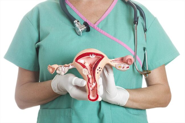 oscabecasdanoticia-utero.jpg