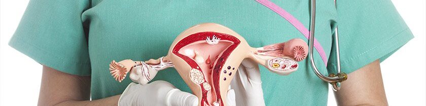 oscabecasdanoticia-utero.jpg