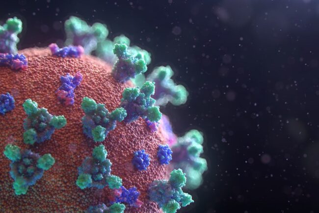 oscabecasdanoticia-coron.jpg