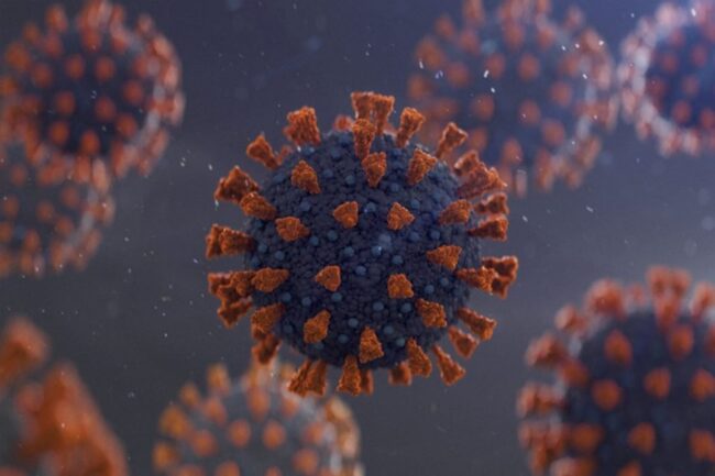 oscabecasdanoticia-getty.jpg