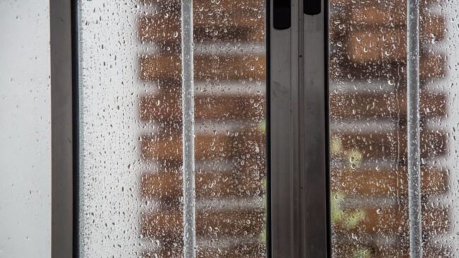 oscabecasdanoticia-chuva.jpg