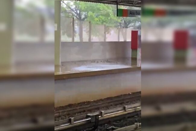 oscabecasdanoticia-metro.jpg