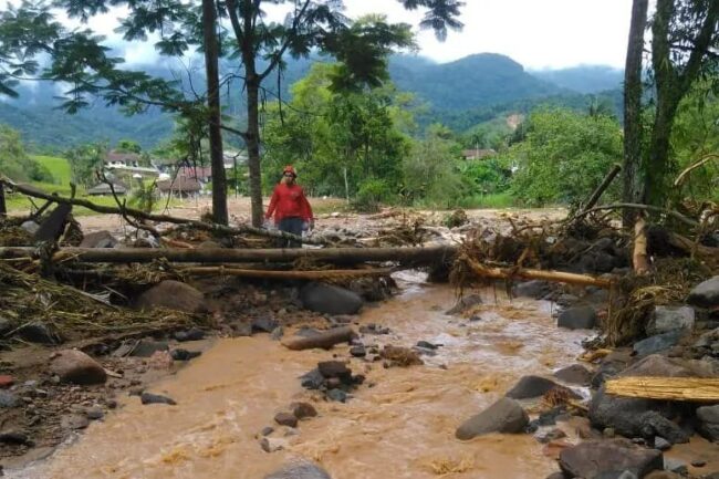 oscabecasdanoticia-chuva.jpg
