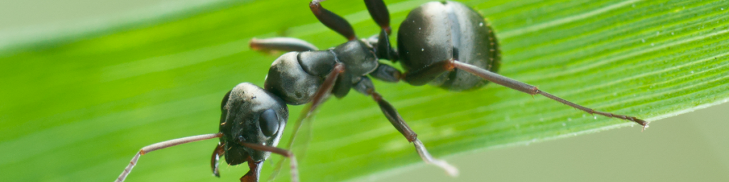 oscabecasdanoticia-9e2cf.png
