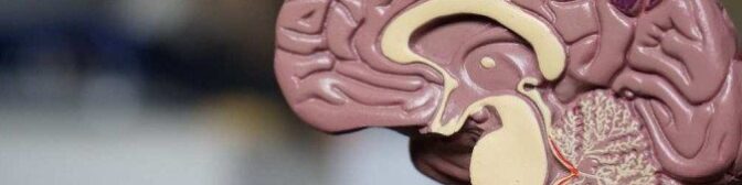 oscabecasdanoticia-1_alz.jpg