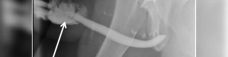 oscabecasdanoticia-whats.jpeg
