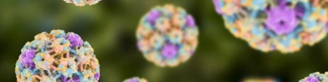 oscabecasdanoticia-1_0e2.jpg