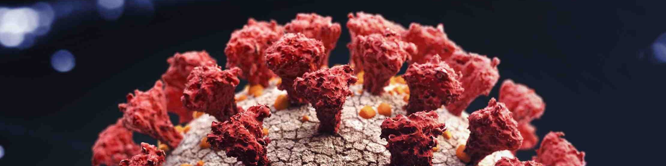 oscabecasdanoticia-ilust.jpg