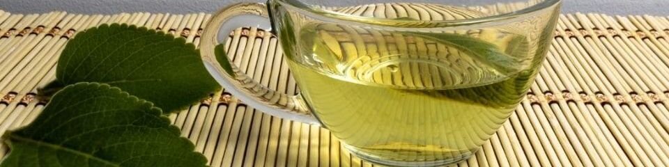 oscabecasdanoticia-cha-d.jpg