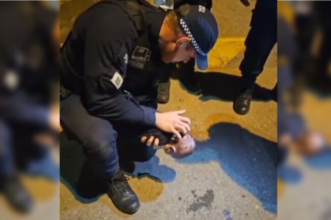 oscabecasdanoticia-bb-46 Policial militar salva bebê de 1 mês engasgado no Distrito Federal
