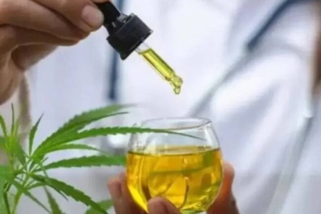 oscabecasdanoticia-buroc Canabidiol - Metrópoles