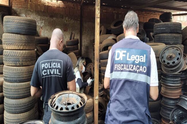 oscabecasdanoticia-df-le DF Legal combate à dengue