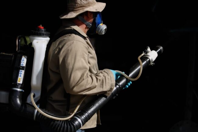 oscabecasdanoticia-mosqu mosquito dengue foco goiania goias (5)