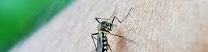 oscabecasdanoticia-image.jpg