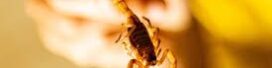 oscabecasdanoticia-image.jpg