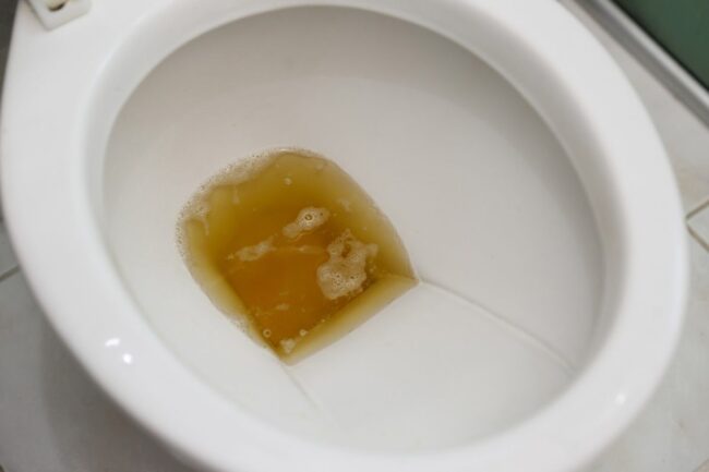 oscabecasdanoticia-xixi-.jpg