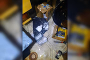 em uma casa localizada em Samambaia