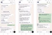 Em mensagens, deputado André do Premium diz que vai atacar jornalista com veneno 