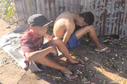 Incendiários queimam mata em Parque Ecológico do DF; só um confessa