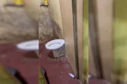 Banheiro da casa
