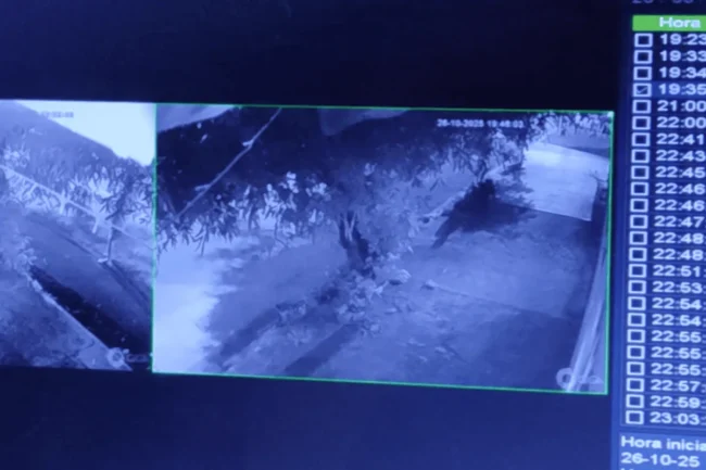 design-sem-nome-2025-10-28T115711.502-1