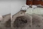 Estado da cama