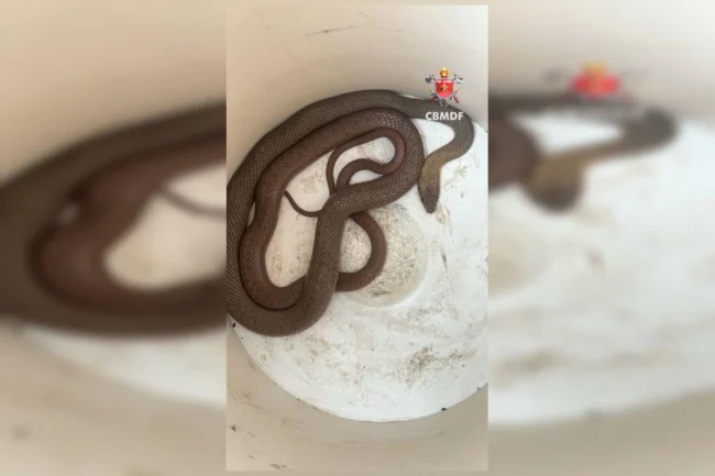 WhatsApp-Image-2025-10-28-at-22.57.53